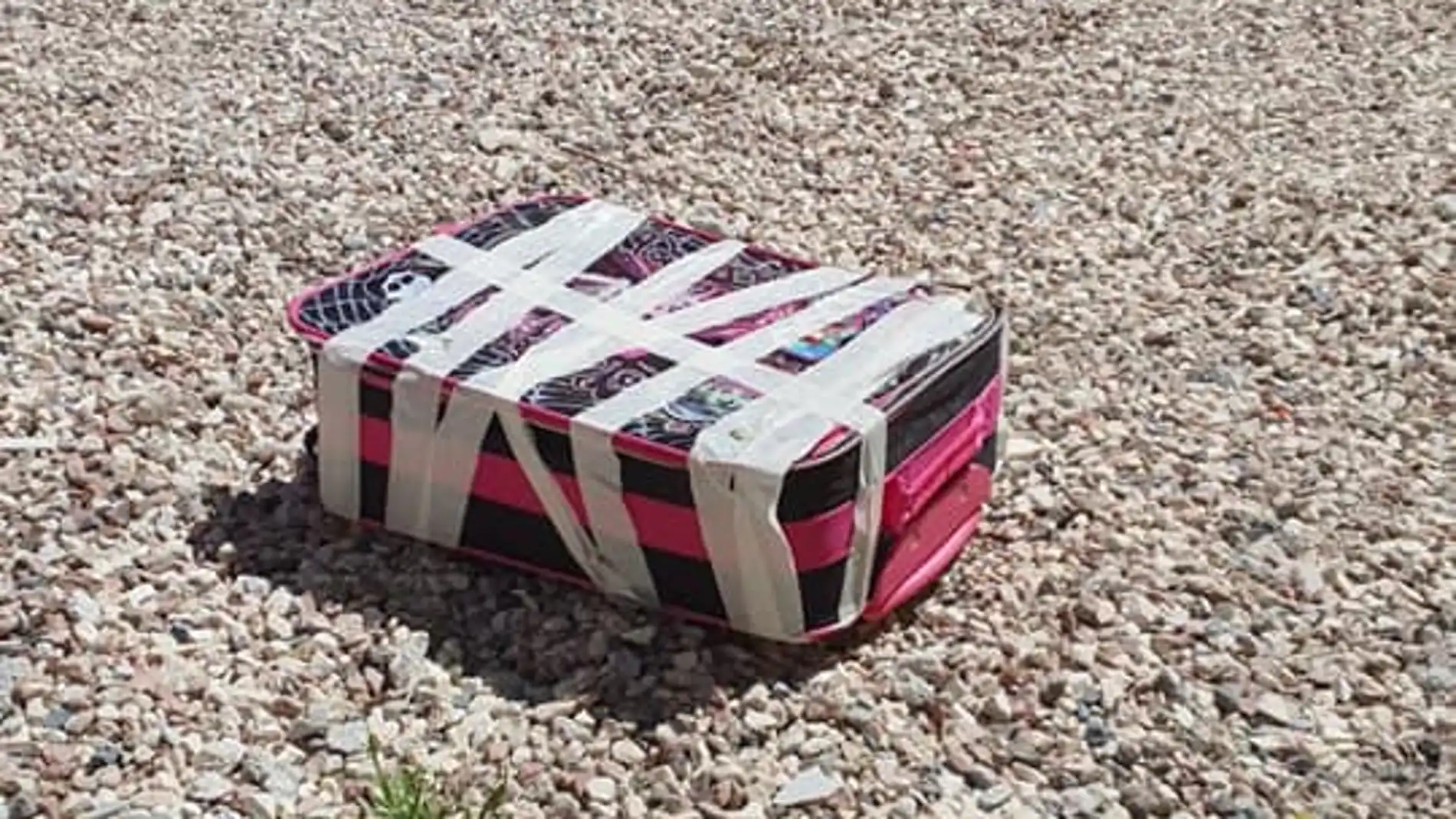 Cinco cachorros de gatos son rescatados de una maleta precintada a pleno sol en Alicante