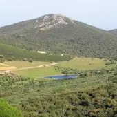 El alcalde de Cáceres pide a la Junta que declare "sin dilación" Paisaje Protegido a la Sierra de la Mosca El alcalde de Cáceres pide a la Junta que declare "sin dilación" Paisaje Protegido a la Sierra de la Mosca