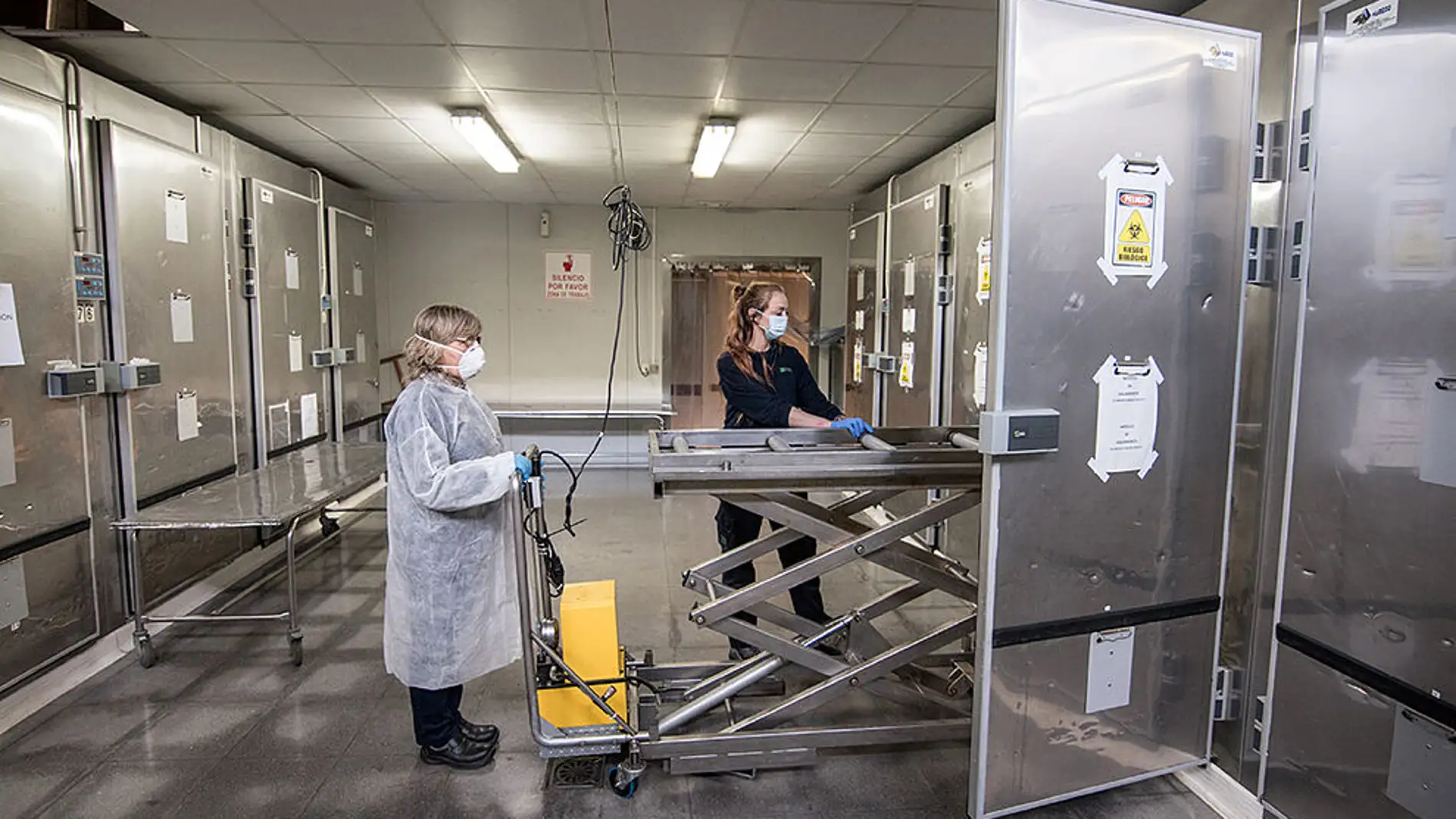 El Instituto de Medicina Legal de Badajoz realizó 275 autopsias, un estudio de restos óseos y dos exhumaciones en 2020 El Instituto de Medicina Legal de Badajoz realizó 275 autopsias, un estudio de restos óseos y dos exhumaciones en 2020