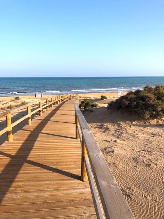 José Luís Sáez, Alcalde, Guardamar trabaja para mostrar su mejor imagen en un verano que esperamos recuperar el turismo internacional José Luís Sáez, Alcalde, Guardamar trabaja para mostrar su mejor imagen en un verano que esperamos recuperar el turismo internacional