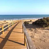 José Luís Sáez, Alcalde, Guardamar trabaja para mostrar su mejor imagen en un verano que esperamos recuperar el turismo internacional José Luís Sáez, Alcalde, Guardamar trabaja para mostrar su mejor imagen en un verano que esperamos recuperar el turismo internacional