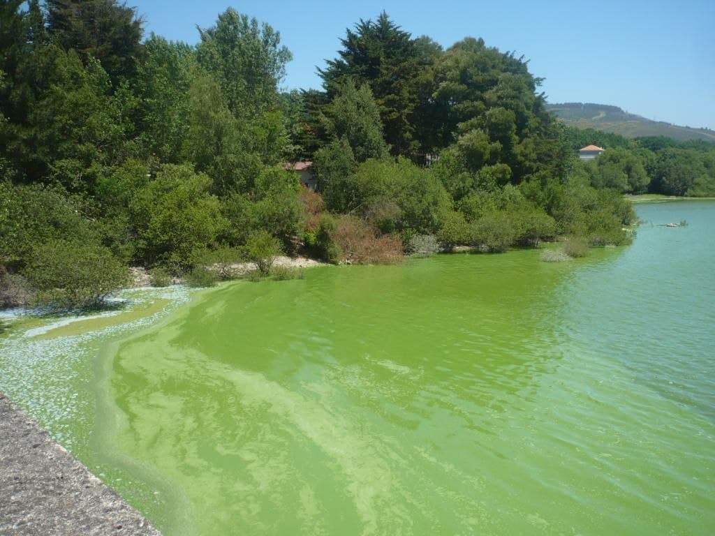 Os socialistas ourensáns urxen medidas contra a contaminación en As Conchas Os socialistas ourensáns urxen medidas contra a contaminación en As Conchas
