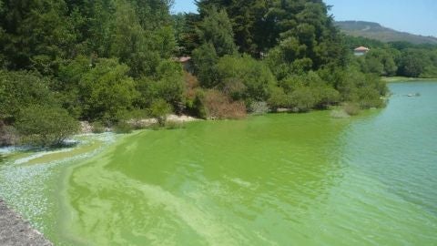 10 anos de contaminación nas Conchas e o encoro segue con pronóstico reservado