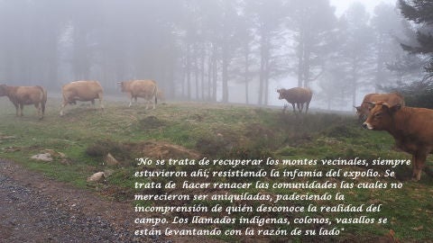 Montes Comunales.