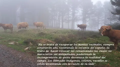 Montes Comunales. Montes Comunales.