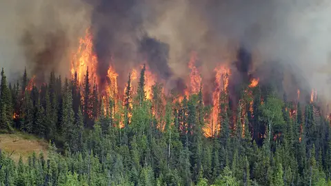 Incendio forestal en un bosque boreal de Alaska Incendio forestal en un bosque boreal de Alaska