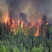 Incendio forestal en un bosque boreal de Alaska Incendio forestal en un bosque boreal de Alaska