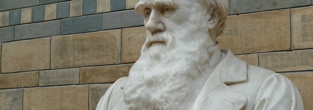 L'evolució és ciència, gràcies a Darwin L'evolució és ciència, gràcies a Darwin