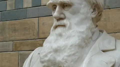 L'evolució és ciència, gràcies a Darwin L'evolució és ciència, gràcies a Darwin