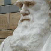 L'evolució és ciència, gràcies a Darwin