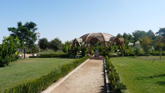 El Jardín Botánico acoge un Ciclo de Conciertos de la mano de la Diputación y la JCCM El Jardín Botánico acoge un Ciclo de Conciertos de la mano de la Diputación y la JCCM