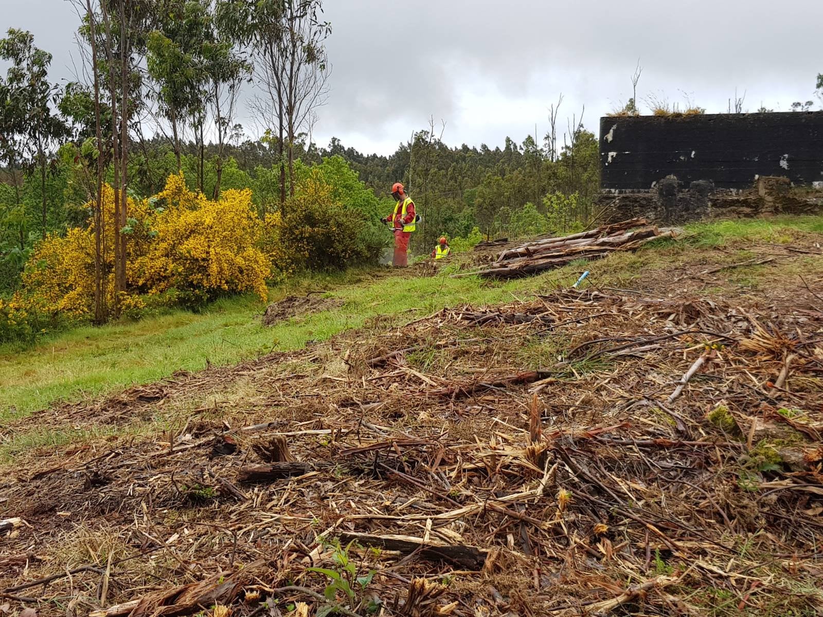 OS terreos forestais próximos a viviendas teñen que estar limpos antes do 31 de Maio OS terreos forestais próximos a viviendas teñen que estar limpos antes do 31 de Maio