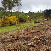 OS terreos forestais próximos a viviendas teñen que estar limpos antes do 31 de Maio OS terreos forestais próximos a viviendas teñen que estar limpos antes do 31 de Maio