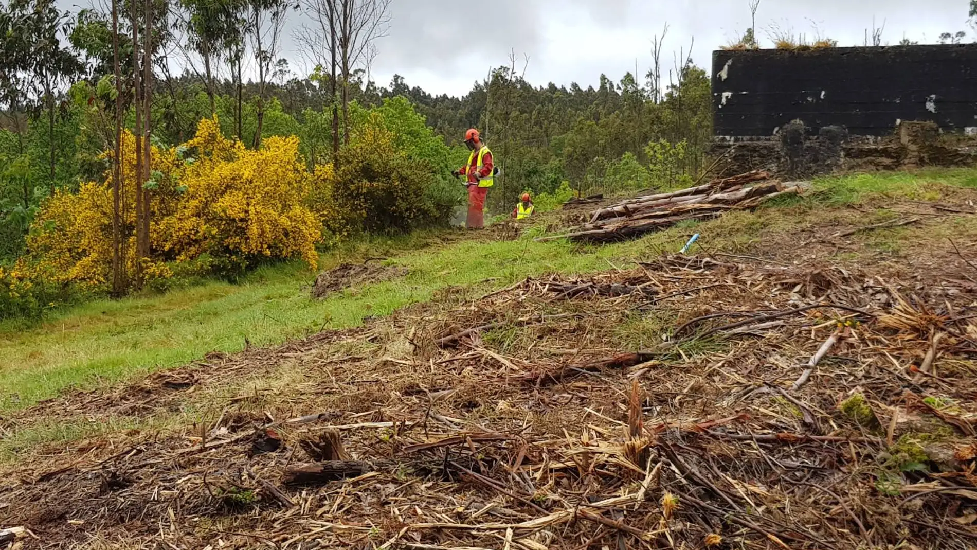 OS terreos forestais próximos a viviendas teñen que estar limpos antes do 31 de Maio