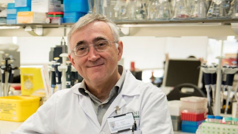 Doctor Elías Campo Doctor Elías Campo
