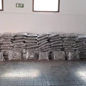Marihuana intervenida por la Guardia Civil de Ciudad Real Marihuana intervenida por la Guardia Civil de Ciudad Real