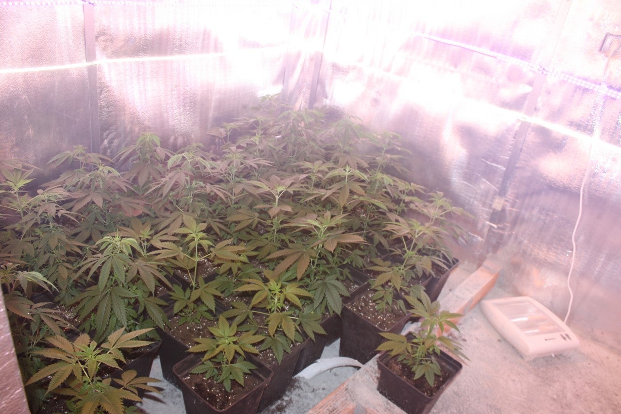 Detenido un clan criminal que vendía droga en las provincias de Lugo, A Coruña y Pontevedra Detenido un clan criminal que vendía droga en las provincias de Lugo, A Coruña y Pontevedra