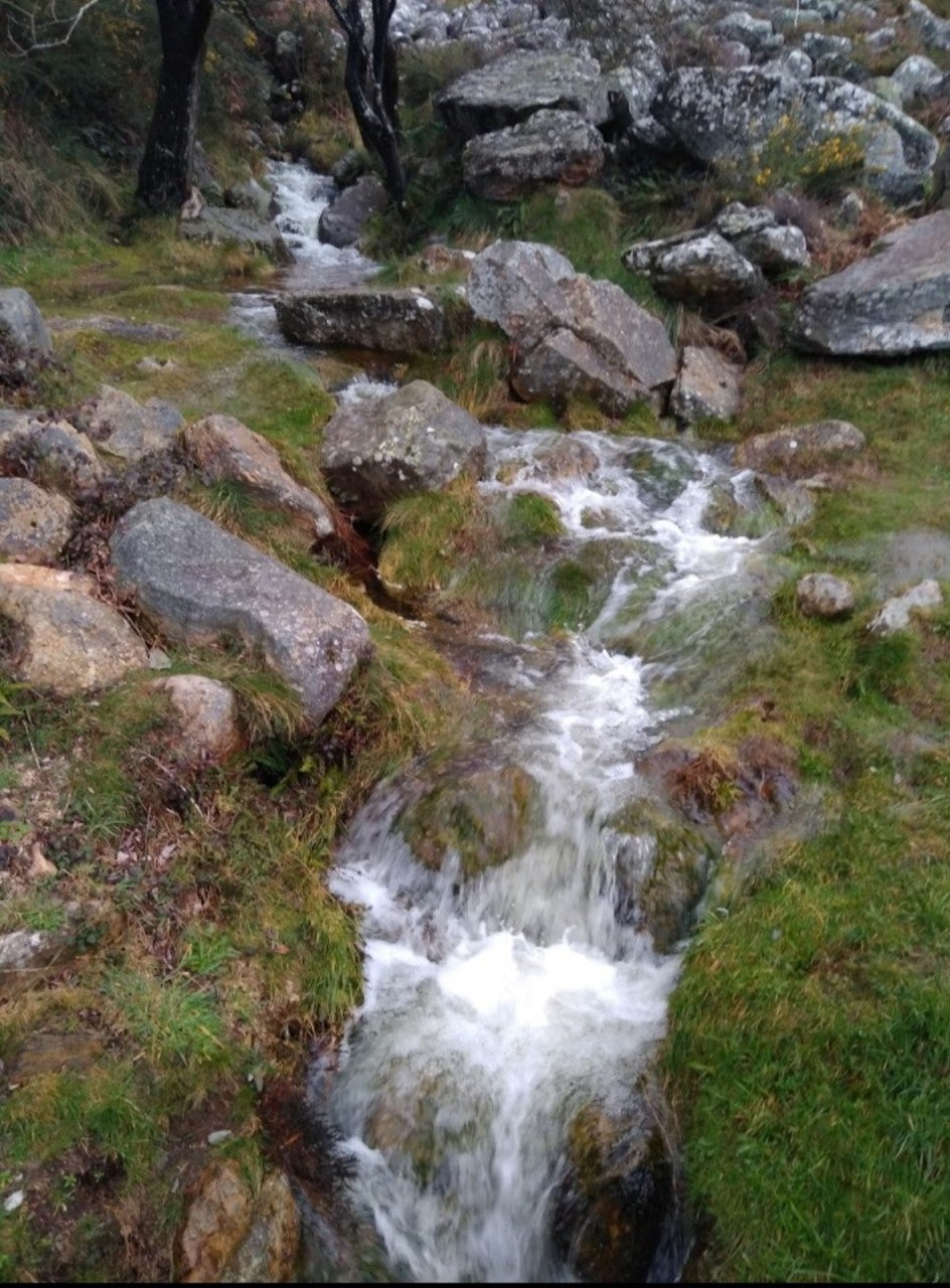 Viajamos hasta el nacimiento del río Miño Viajamos hasta el nacimiento del río Miño