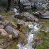 Pedregal Irimia Pedregal Irimia