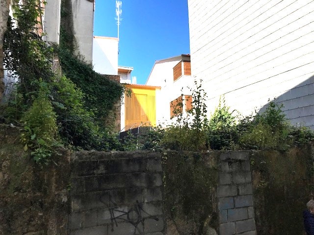 O BNG denuncia que a maleza medra descontrolada por todo o termo municipal O BNG denuncia que a maleza medra descontrolada por todo o termo municipal