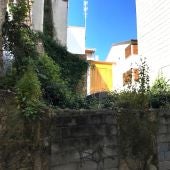 O BNG denuncia que a maleza medra descontrolada por todo o termo municipal
