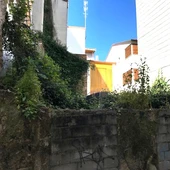 O BNG denuncia que a maleza medra descontrolada por todo o termo municipal O BNG denuncia que a maleza medra descontrolada por todo o termo municipal
