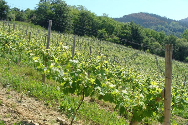 MÁS DE UNO BIZKAIA 21/05/2021 MÁS DE UNO BIZKAIA 21/05/2021