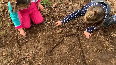 Aloumiños no bosque Aloumiños no bosque