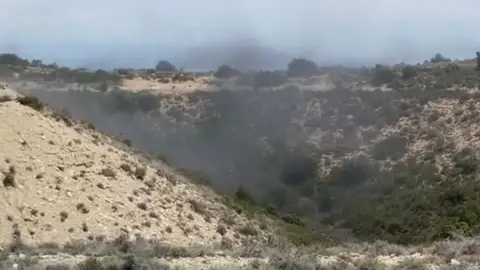 Nubes de mosquitos en la Sierra de Alcubierre Nubes de mosquitos en la Sierra de Alcubierre