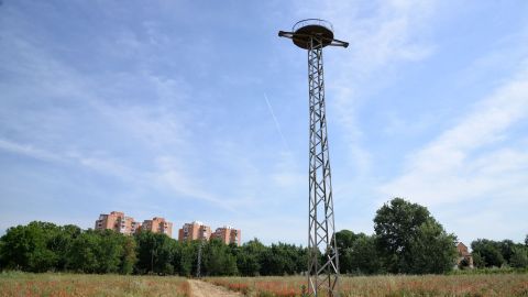 Base para nidos de cig&uuml;e&ntilde;as en la Isla del Colegio de Alcal&aacute; de Henares