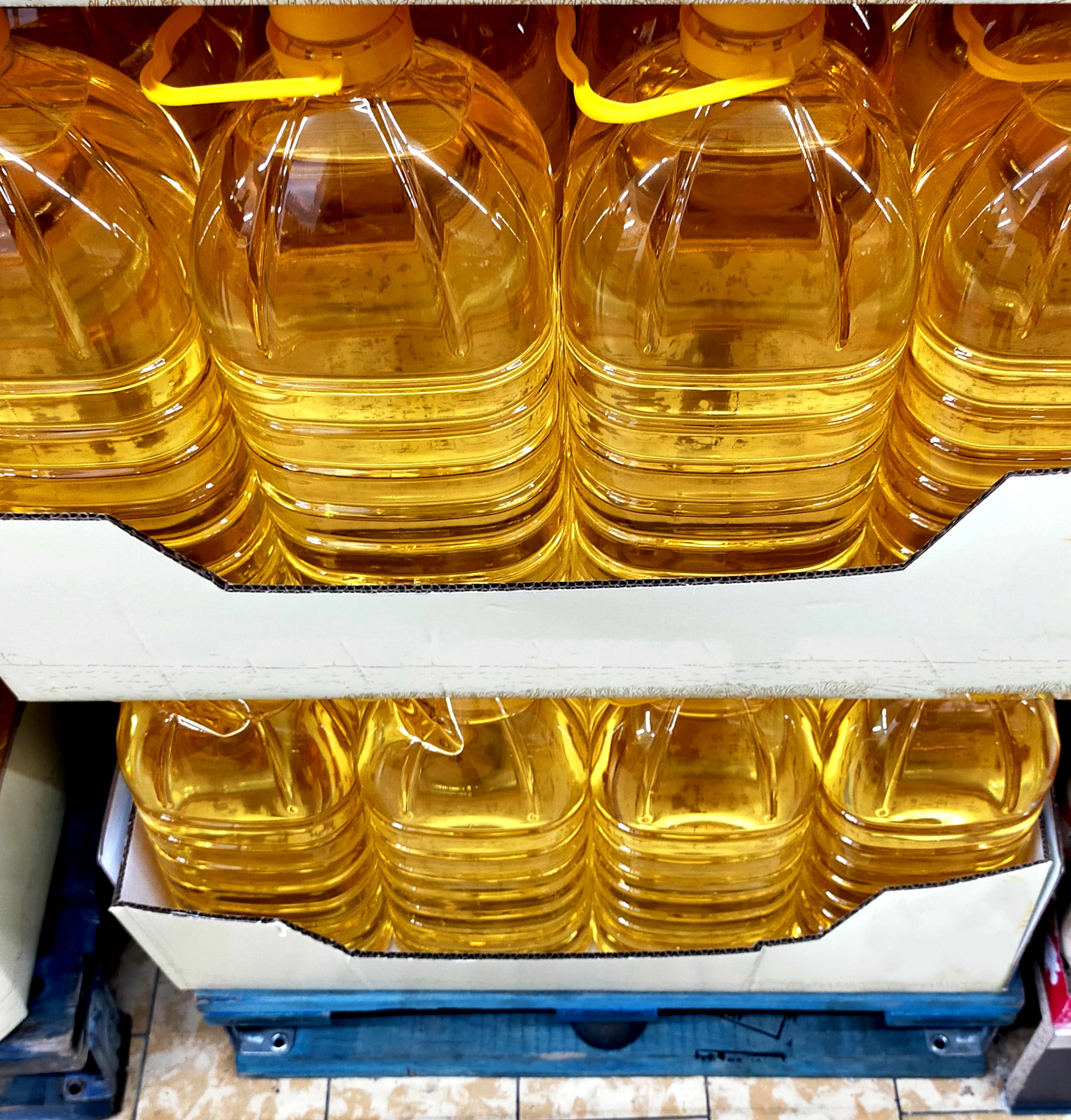 Juan Casado, doctor durante la intoxicación por el aceite de colza, explica cómo descubrieron el origen del envenenamiento Juan Casado, doctor durante la intoxicación por el aceite de colza, explica cómo descubrieron el origen del envenenamiento