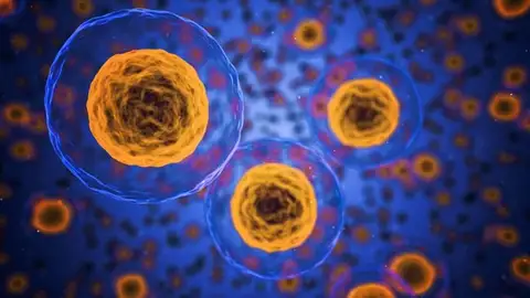 Com es va originar la vida a la terra? Com es va originar la vida a la terra?