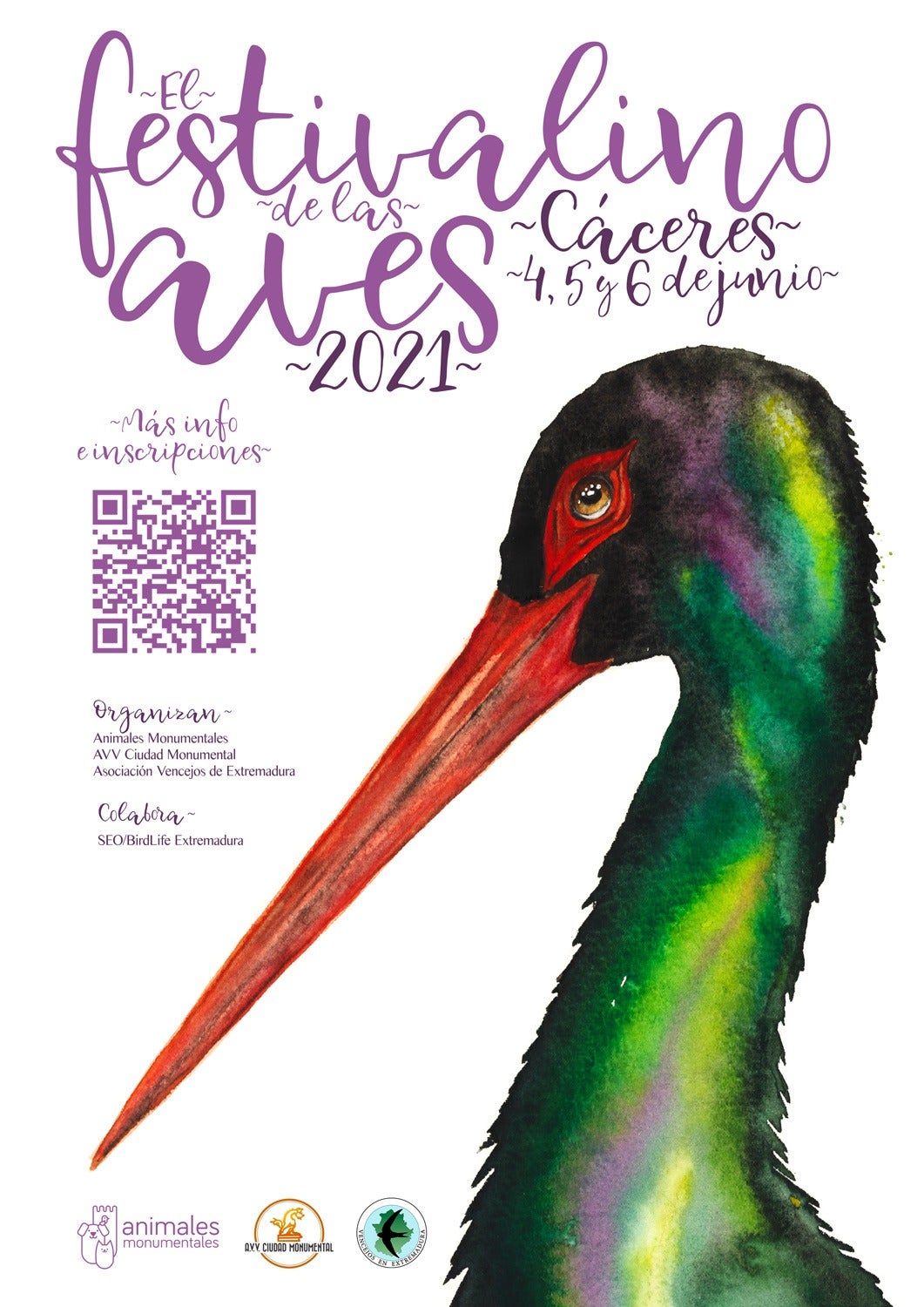 La AAVV Ciudad Monumental de Cáceres organiza un festival alternativo de las aves La AAVV Ciudad Monumental de Cáceres organiza un festival alternativo de las aves