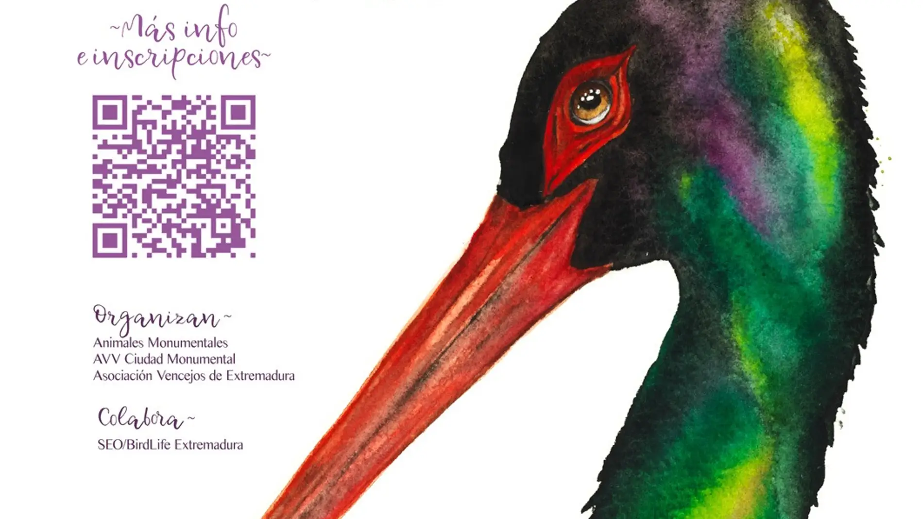 La AAVV Ciudad Monumental de Cáceres organiza un festival alternativo de las aves