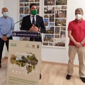 Para celebrar el Día Mundial del Medio Ambiente se han organizado desde rutas guiadas por el Palmeral, un rocódromo infantil, tirolina, hasta talleres 