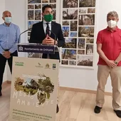 Para celebrar el Día Mundial del Medio Ambiente se han organizado desde rutas guiadas por el Palmeral, un rocódromo infantil, tirolina, hasta talleres Para celebrar el Día Mundial del Medio Ambiente se han organizado desde rutas guiadas por el Palmeral, un rocódromo infantil, tirolina, hasta talleres