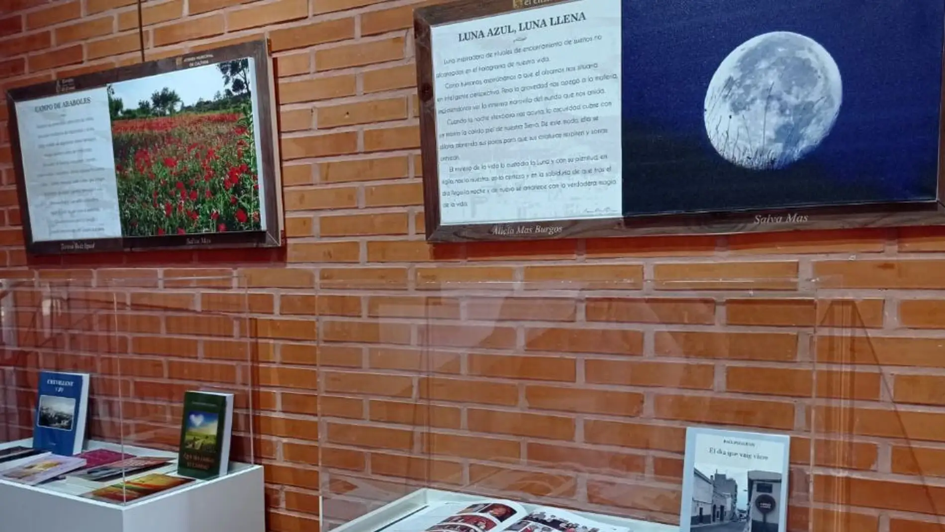 Expuesta en la Casa de Cultura de Albatera Miguel Hernandez 25 instantaneas con folleto poético 