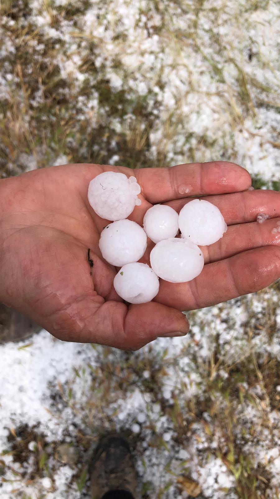 Nueva tormenta de granizo sin nuevos daños en cosecha Nueva tormenta de granizo sin nuevos daños en cosecha