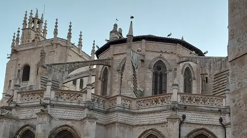 Más de medio centenar de propuestas culturales celebran este 2021 el VII centenario de la Catedral de Palencia Cultura
