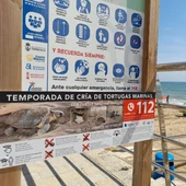 La Concejalía de Medio Ambiente instala carteles en las playas donde se explica cómo actuar en caso de nidificación de tortugas marinas La Concejalía de Medio Ambiente instala carteles en las playas donde se explica cómo actuar en caso de nidificación de tortugas marinas