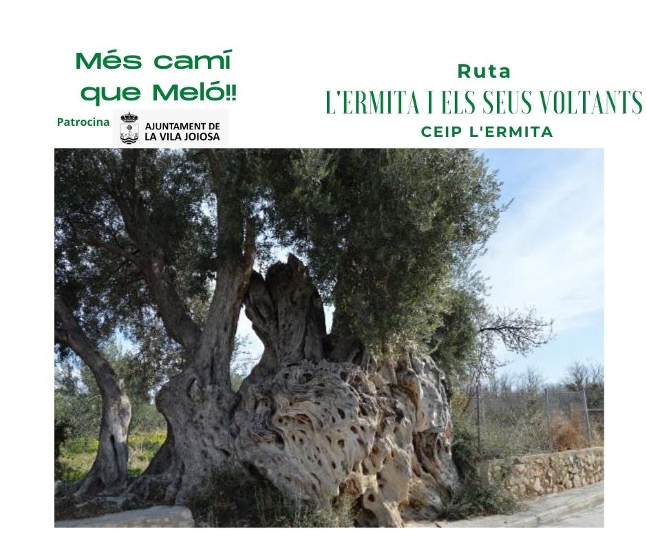 Rutes per La Vila Joiosa: L'Ermita i els seus voltants Rutes per La Vila Joiosa: L'Ermita i els seus voltants