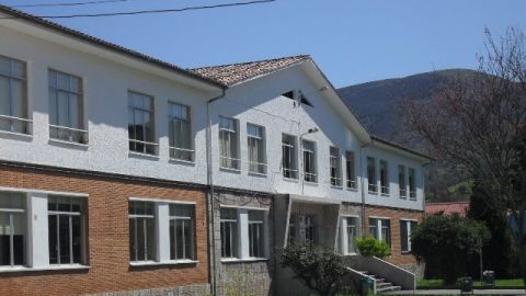 Instituto de Infiesto