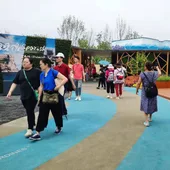 Apenas una semana después de la inauguración de la 10ª Expo Internacional de Flores de Shanghái, el Pabellón de Orihuela ha comenzado a dar sus frutos Apenas una semana después de la inauguración de la 10ª Expo Internacional de Flores de Shanghái, el Pabellón de Orihuela ha comenzado a dar sus frutos