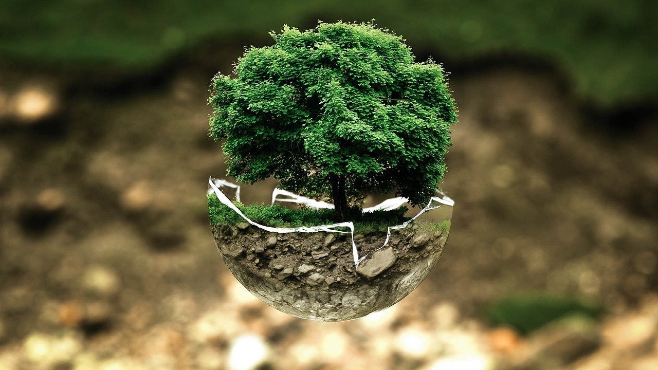 Conciencia malagueña por el Medio Ambiente Conciencia malagueña por el Medio Ambiente