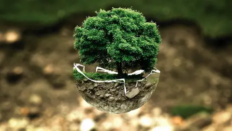 Día Mundial del Medio Ambiente 2021: ¿Por qué se celebra el 5 de junio? Día Mundial del Medio Ambiente 2021: ¿Por qué se celebra el 5 de junio?