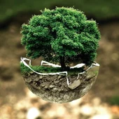 Día Mundial del Medio Ambiente 2021: ¿Por qué se celebra el 5 de junio? Día Mundial del Medio Ambiente 2021: ¿Por qué se celebra el 5 de junio?