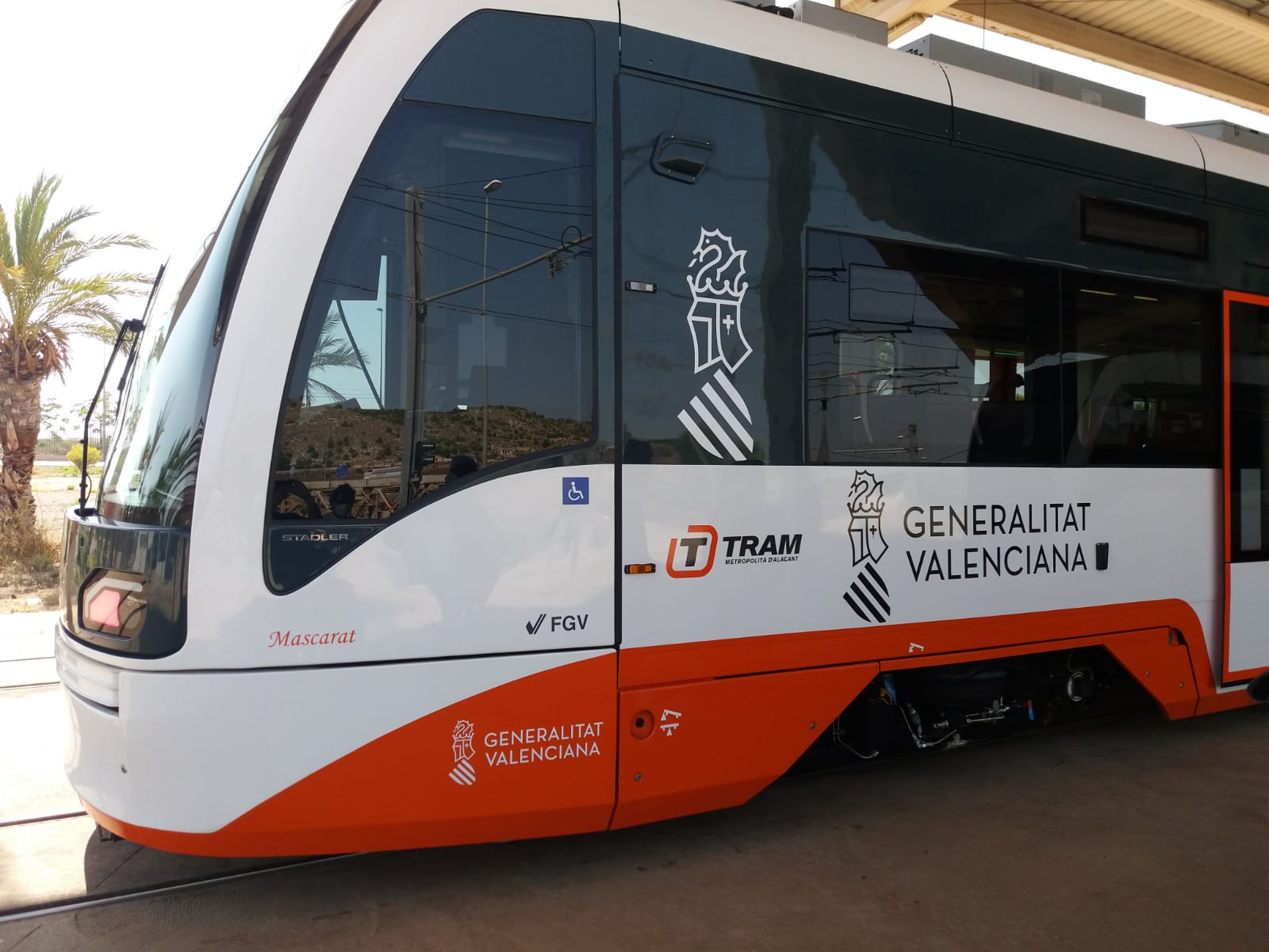 AESEC Apoya la propuesta de Mazón de crear un TRAM en Elche AESEC Apoya la propuesta de Mazón de crear un TRAM en Elche