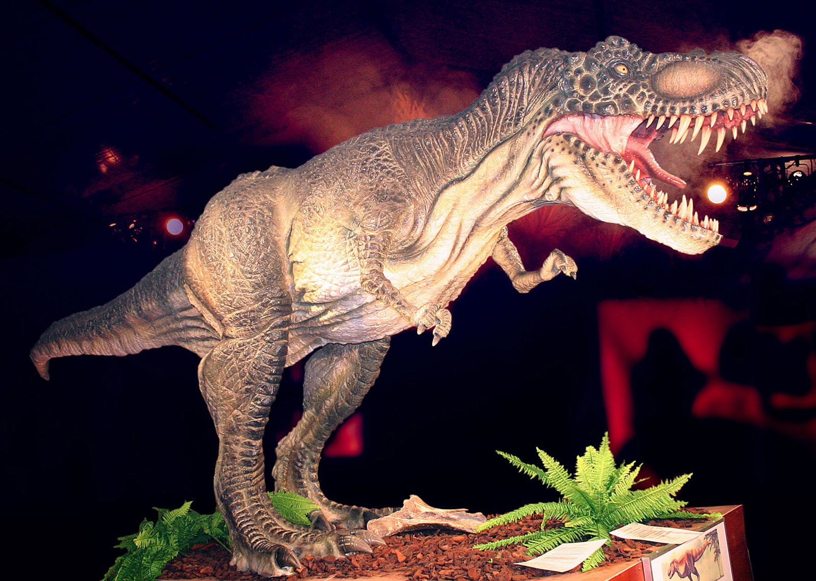 Llega 'Dinoexpo' a San Fernando: una exposición de dinosaurios a tamaño real Llega 'Dinoexpo' a San Fernando: una exposición de dinosaurios a tamaño real