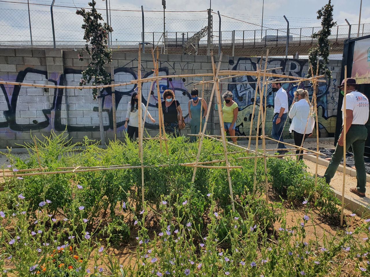 Cádiz apuesta por los huertos urbanos para concienciar por el medio ambiente Cádiz apuesta por los huertos urbanos para concienciar por el medio ambiente