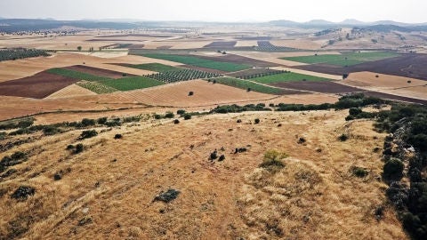 Imagen Campo de Montiel 